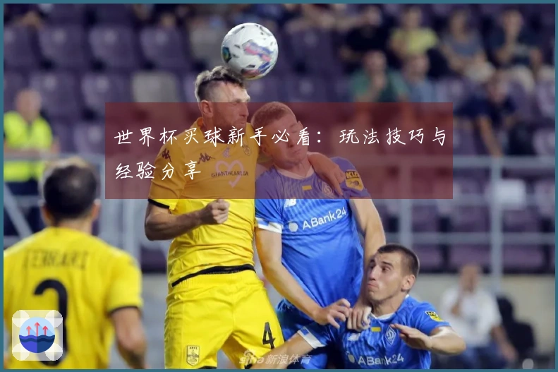 世界杯买球新手必看：玩法技巧与经验分享
