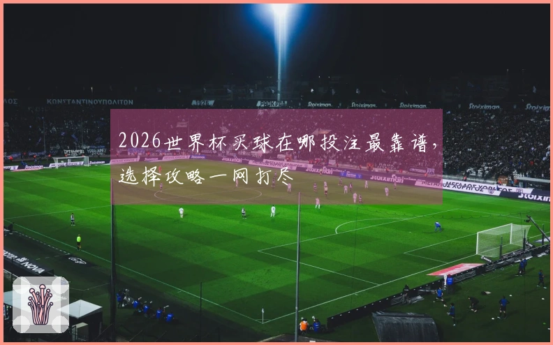 2026世界杯买球在哪投注最靠谱，选择攻略一网打尽
