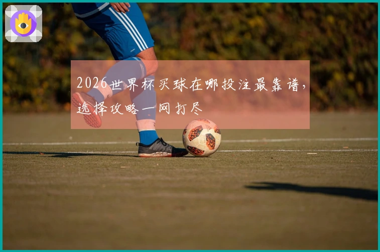 2026世界杯买球在哪投注最靠谱，选择攻略一网打尽
