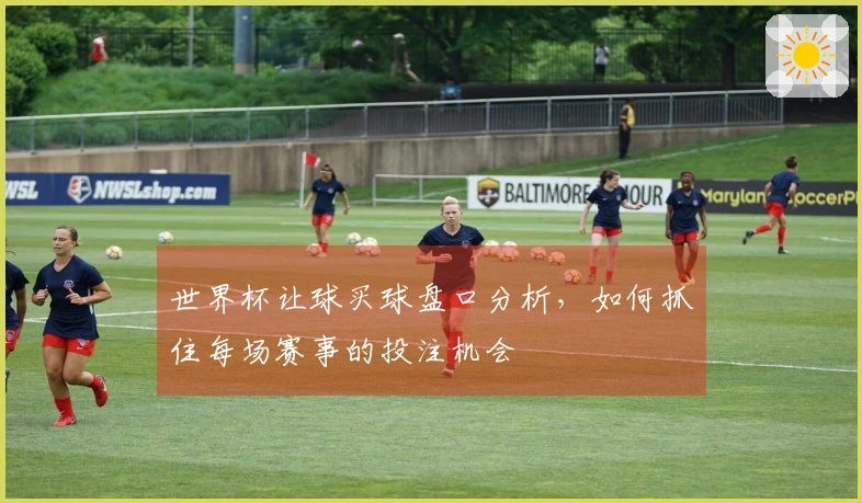 世界杯让球买球盘口分析，如何抓住每场赛事的投注机会