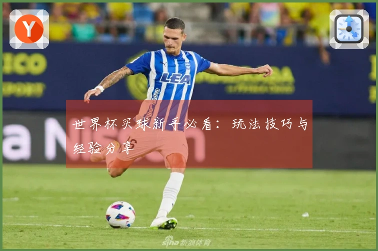 世界杯买球新手必看：玩法技巧与经验分享
