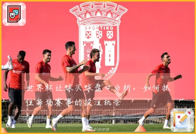 世界杯让球买球盘口分析，如何抓住每场赛事的投注机会