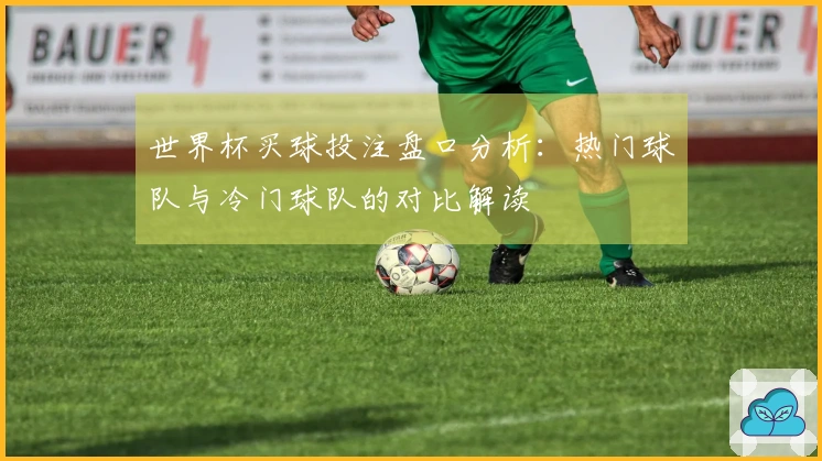 世界杯买球投注盘口分析：热门球队与冷门球队的对比解读