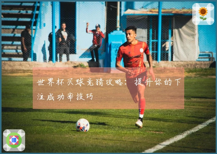 世界杯买球竞猜攻略：提升你的下注成功率技巧