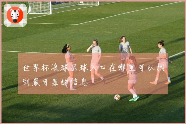 世界杯滚球买球入口在哪里可以找到最可靠的信息